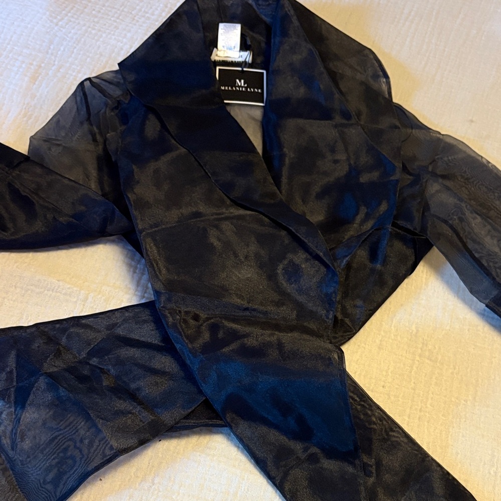 Sheer Navy Blazer